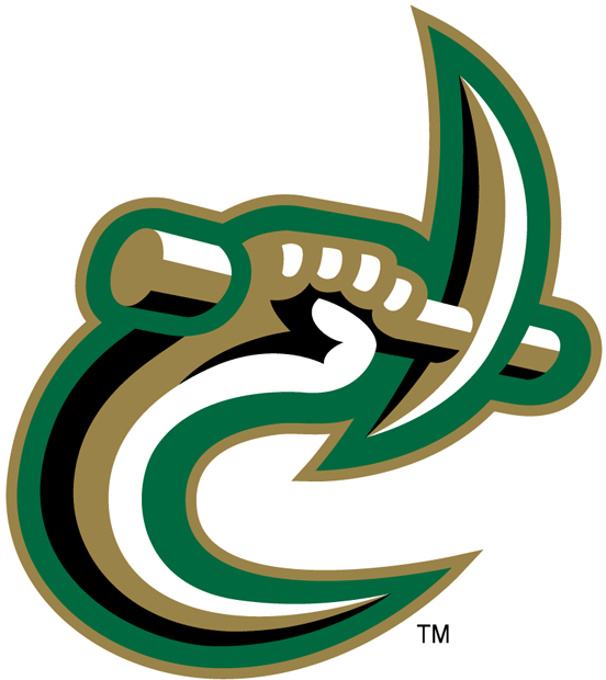 Charlotte 49ers 1998-Pres Secondary Logo t shirts iron on transfers